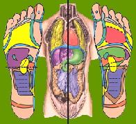 Reflexology is based on the principle that there are reflexes in the feet, hands and ear which correspond to every part of the body.
